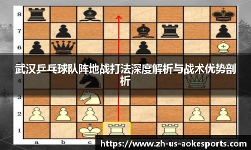 武汉乒乓球队阵地战打法深度解析与战术优势剖析